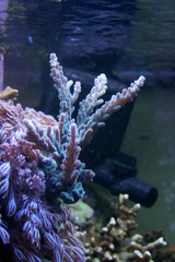 Killikus&reg; Fotographie